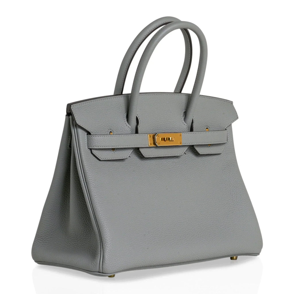 Birkin 30 Bag Gris Mouette Gold Hardware Togo Leather
