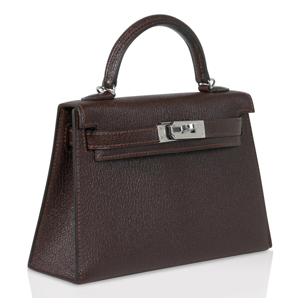 Kelly 20 Bi-Color Mini Sellier Bag Havane / Etrusque Chevre Palladium